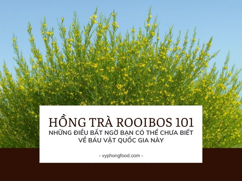 Hồng trà Rooibos 101: Những điều bất ngờ bạn có thể chưa biết về báu vật quốc gia này.