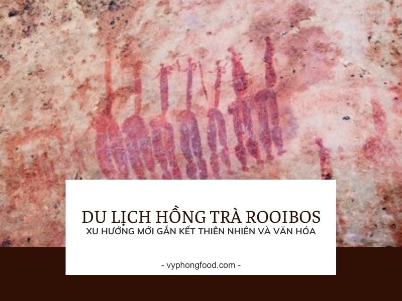 Du lịch hồng trà rooibos Nam Phi – Xu hướng mới gắn kết thiên nhiên và văn hóa.