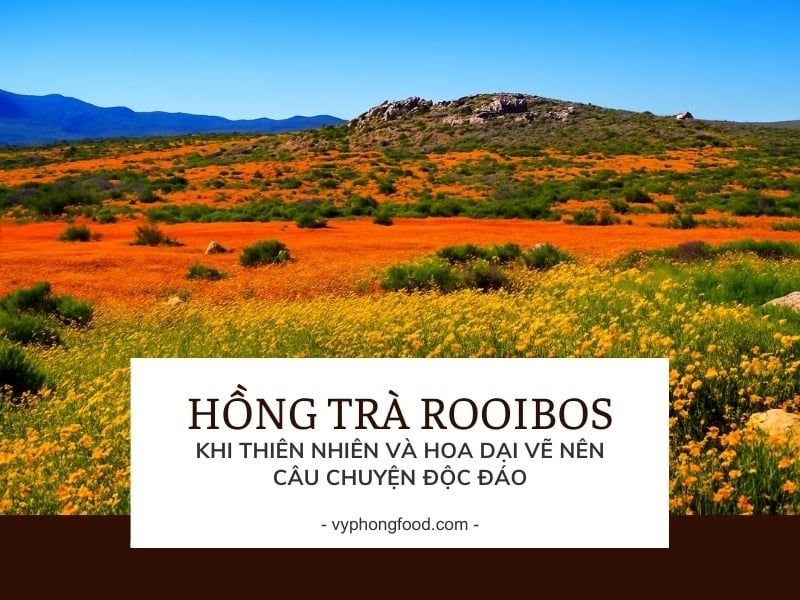 Hồng Trà Rooibos Nam Phi – Khi Thiên Nhiên Và Hoa Dại Vẽ Nên Câu Chuyện Độc Đáo.