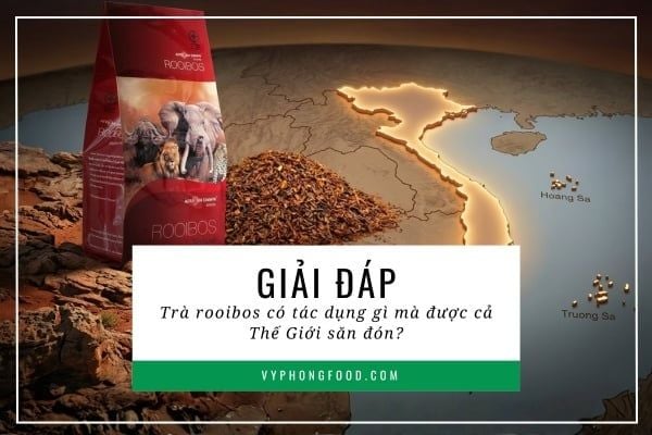 Giải đáp: Trà rooibos có tác dụng gì mà được cả thế giới săn đón?