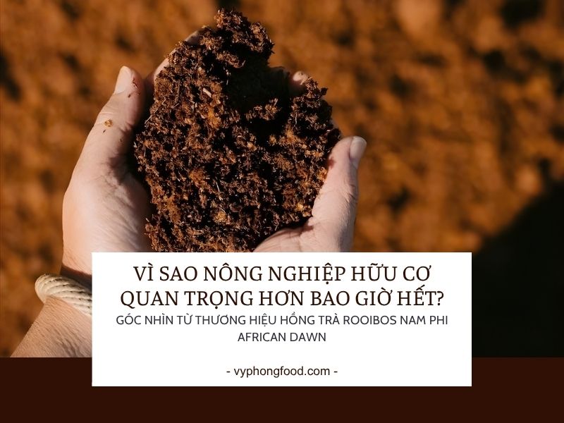 Vì sao nông nghiệp hữu cơ quan trọng hơn bao giờ hết? – Góc nhìn từ thương hiệu hồng trà rooibos Nam Phi African Dawn.