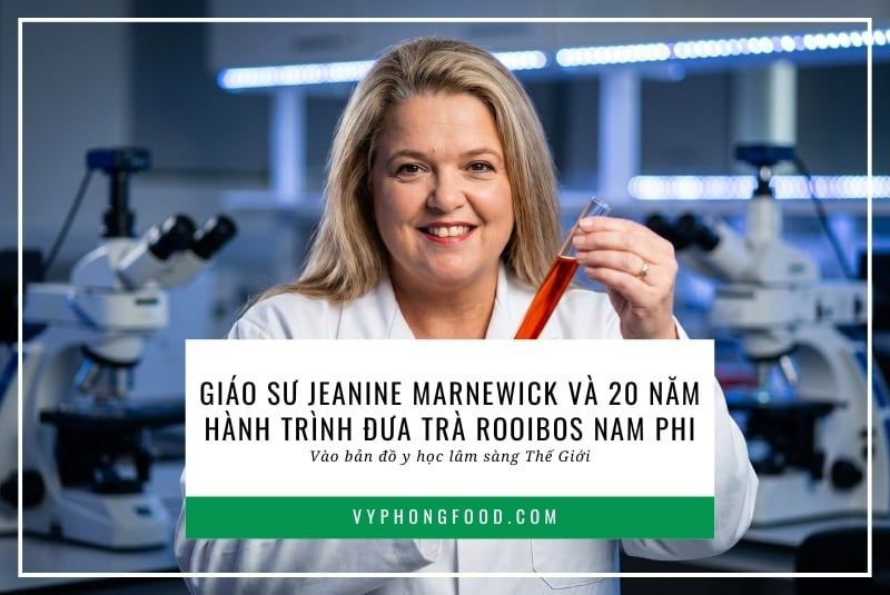 Giáo sư Jeanine Marnewick và 20 năm hành trình đưa trà rooibos Nam Phi vào bản đồ y học lâm sàng Thế Giới.