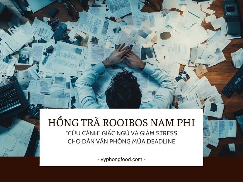 Hồng trà Rooibos Nam Phi: 
