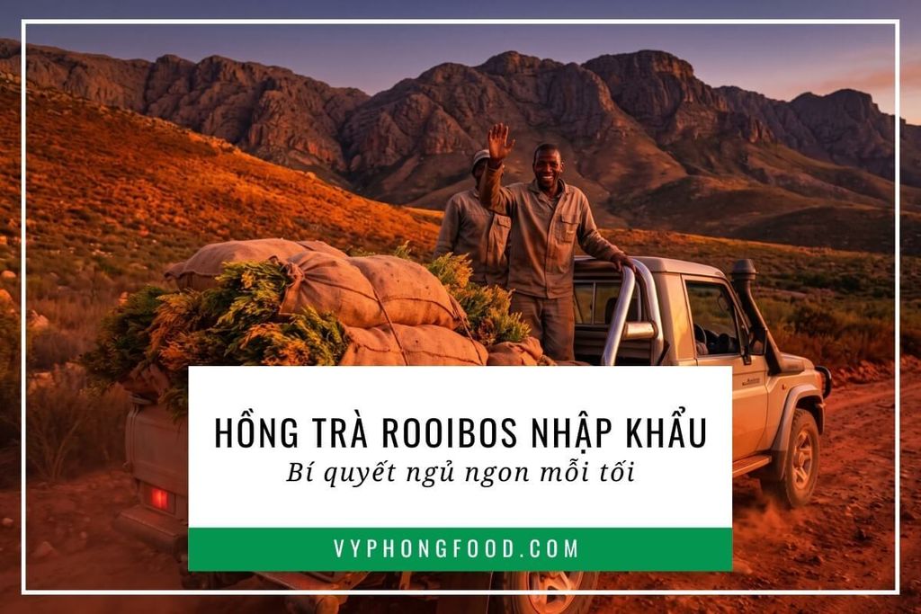 Hồng trà rooibos nhập khẩu: Bí quyết ngủ ngon mỗi tối