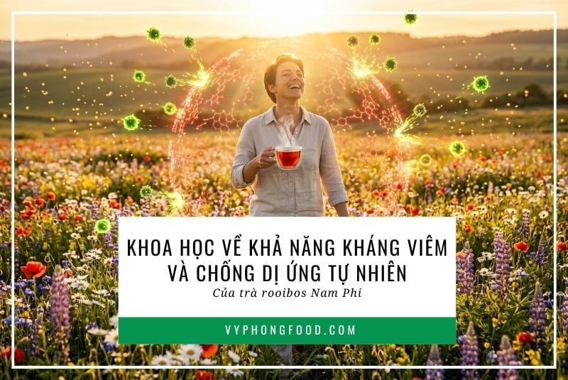Khoa học về khả năng kháng viêm và chống dị ứng tự nhiên của trà rooibos Nam Phi.