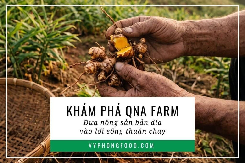 Khám phá QNA Farm: Đưa nông sản bản địa vào lối sống thuần chay