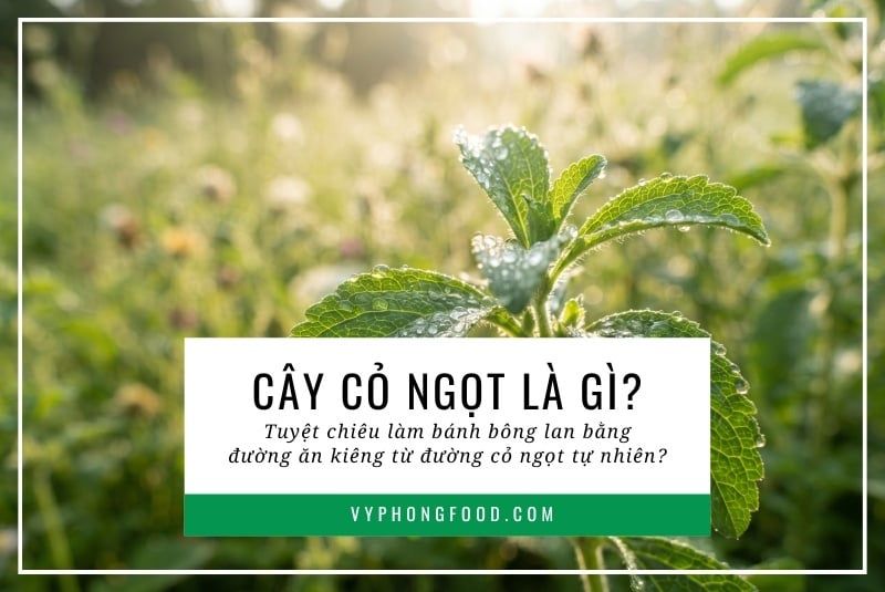 Cây cỏ ngọt là gì? Tuyệt chiêu làm bánh bông lan bằng đường ăn kiêng từ đường cỏ ngọt tự nhiên?