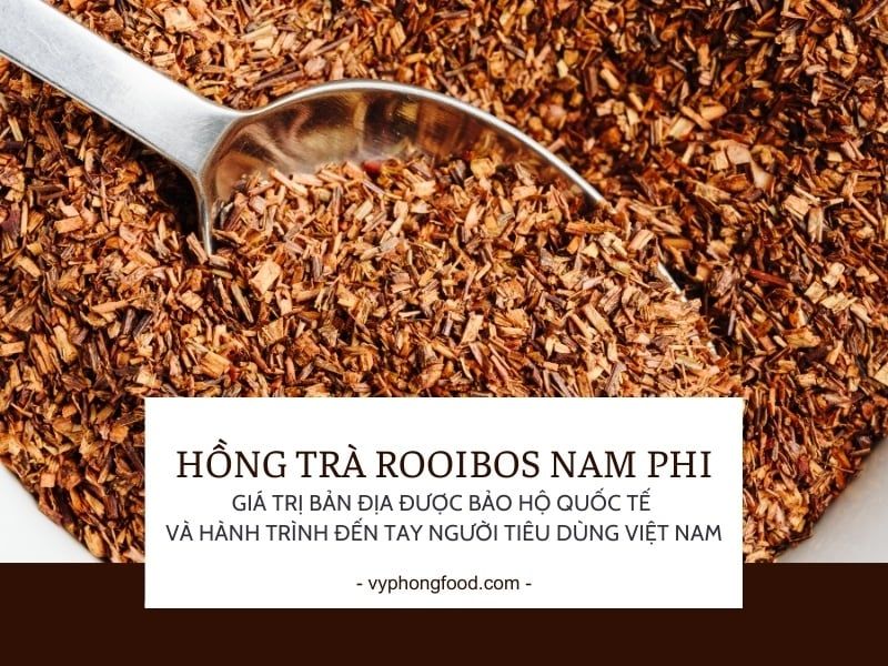 Hồng trà rooibos Nam Phi thương hiệu African Dawn – giá trị bản địa được bảo hộ quốc tế và hành trình đến tay người tiêu dùng Việt Nam.