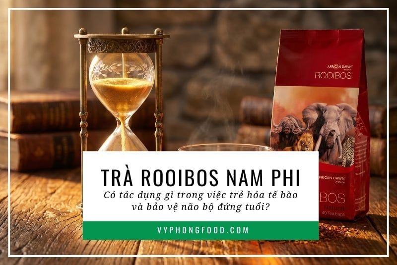 Trà rooibos Nam Phi có tác dụng gì trong việc trẻ hóa tế bào và bảo vệ não bộ đứng tuổi?