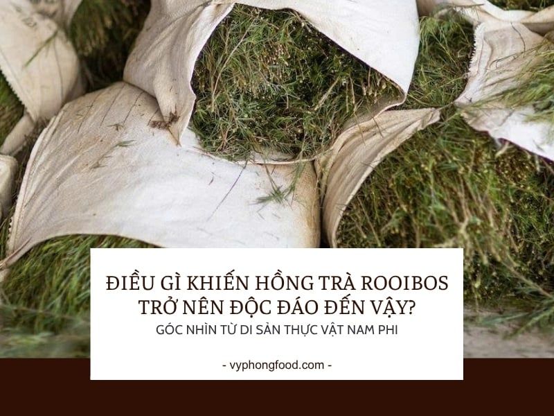 Điều gì khiến hồng trà Rooibos trở nên độc đáo đến vậy? Góc nhìn từ di sản thực vật Nam Phi.