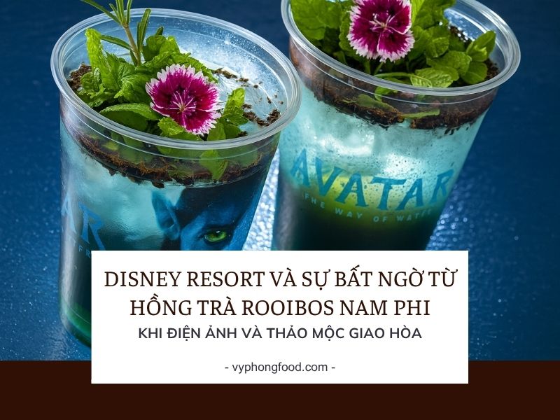 Disney Resort và sự bất ngờ từ hồng trà rooibos Nam Phi – Khi điện ảnh và thảo mộc giao hòa.