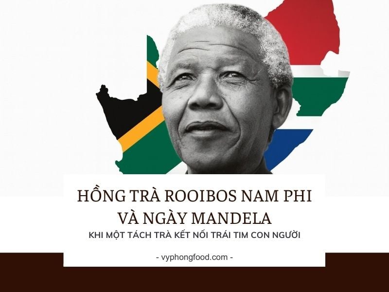 Hồng Trà Rooibos Nam Phi Và Ngày Mandela – Khi Một Tách Trà Kết Nối Trái Tim Con Người.