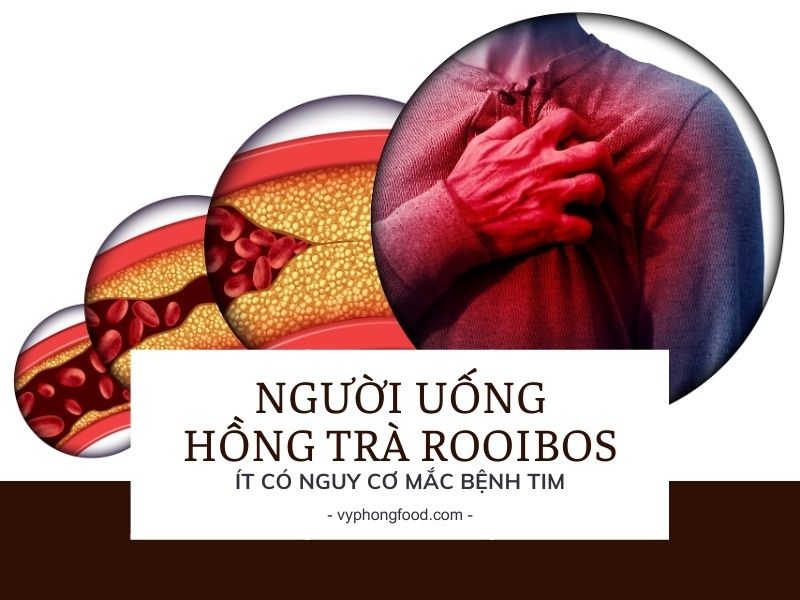 Người uống hồng trà rooibos Nam Phi ít có nguy cơ mắc bệnh tim.