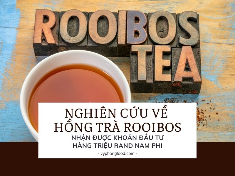 Nghiên cứu về Hồng Trà Rooibos Nhận Được Khoản Đầu Tư Hàng Triệu Rand.
