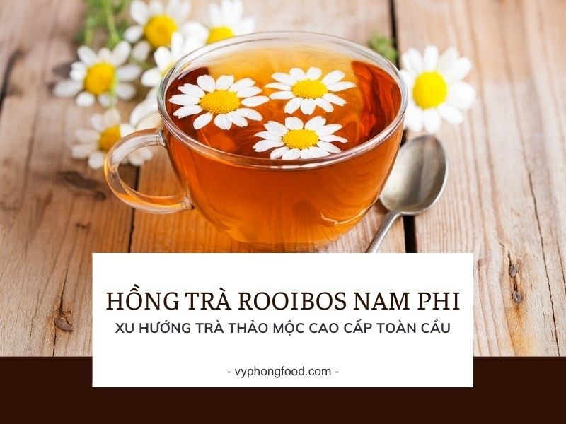Hồng trà rooibos Nam Phi – xu hướng trà thảo mộc cao cấp toàn cầu.