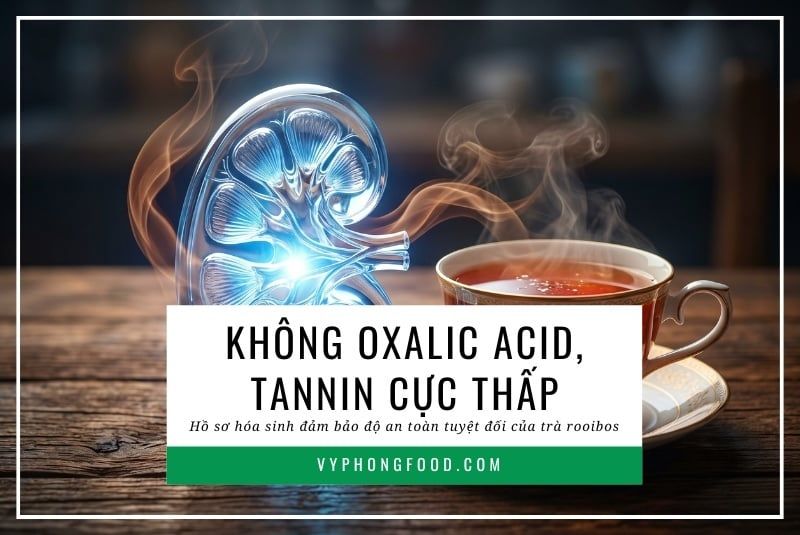 Không oxalic acid, tannin cực thấp: Hồ sơ hóa sinh đảm bảo độ an toàn tuyệt đối của trà rooibos.