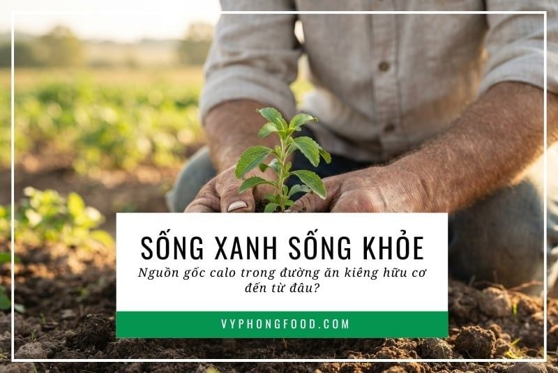Sống xanh sống khỏe: Nguồn gốc calo trong đường ăn kiêng hữu cơ đến từ đâu?