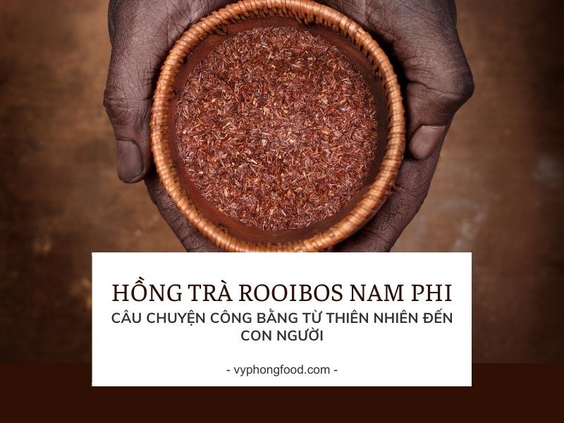 Hồng Trà Rooibos Nam Phi – Câu Chuyện Công Bằng Từ Thiên Nhiên Đến Con Người.