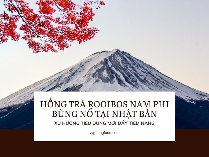 Hồng trà rooibos Nam Phi bùng nổ tại Nhật Bản – Xu hướng tiêu dùng mới đầy tiềm năng.