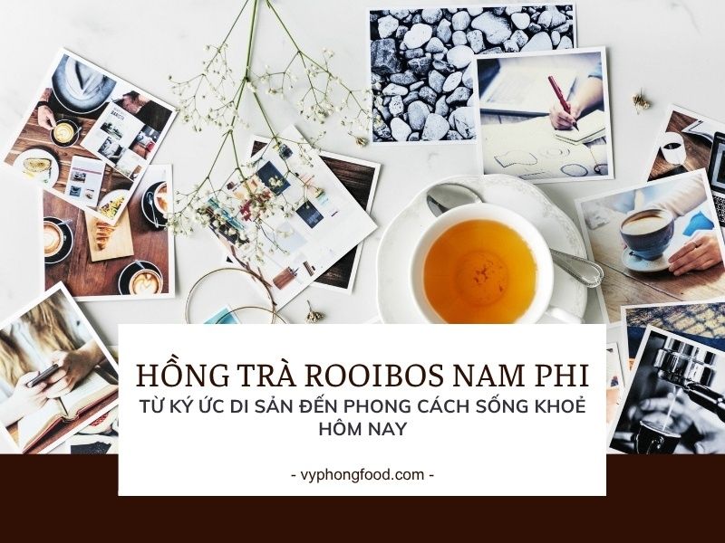 Hồng trà rooibos Nam Phi: Từ ký ức di sản đến phong cách sống khoẻ hôm nay.