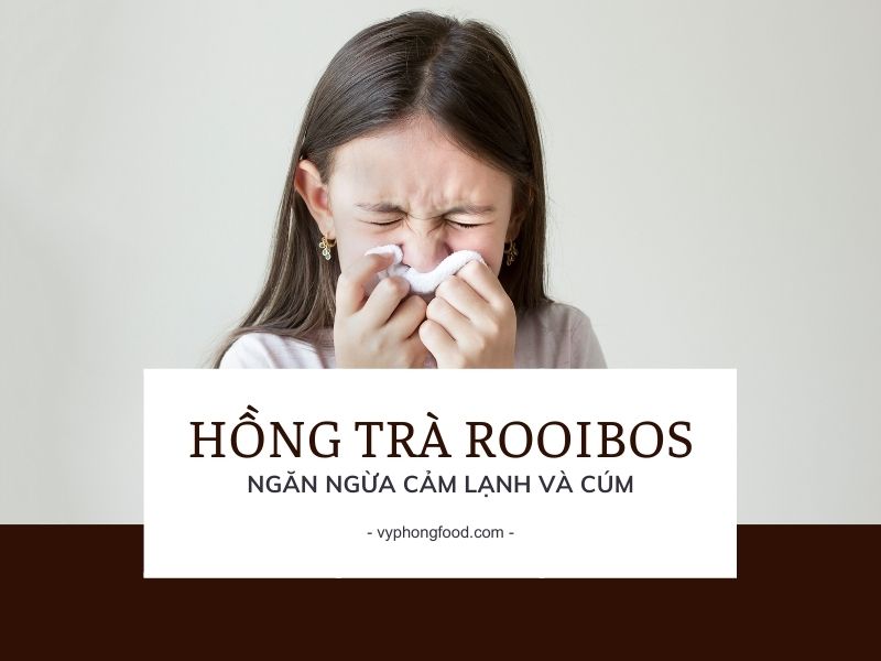 Ngăn ngừa Cảm Lạnh và Cúm với Hồng Trà Rooibos.