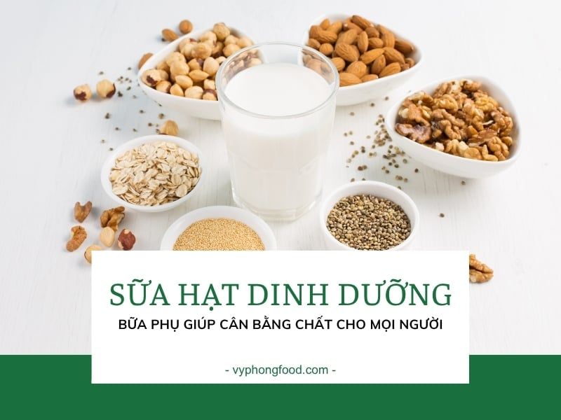 Sữa hạt dinh dưỡng – Bữa phụ giúp cân bằng chất cho mọi người.