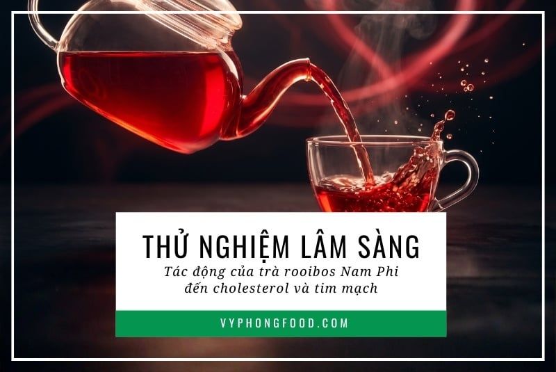 Thử nghiệm lâm sàng: Tác động của trà rooibos Nam Phi đến cholesterol và tim mạch.