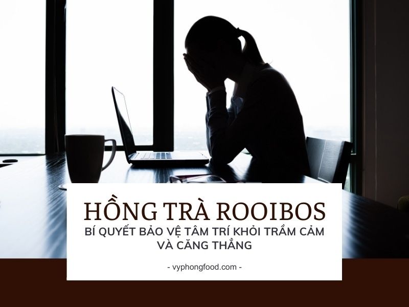 Uống hồng trà rooibos Nam Phi – Bí quyết bảo vệ tâm trí khỏi trầm cảm và căng thẳng.