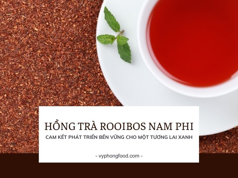 Hồng trà rooibos Nam Phi – cam kết phát triển bền vững cho một tương lai xanh.