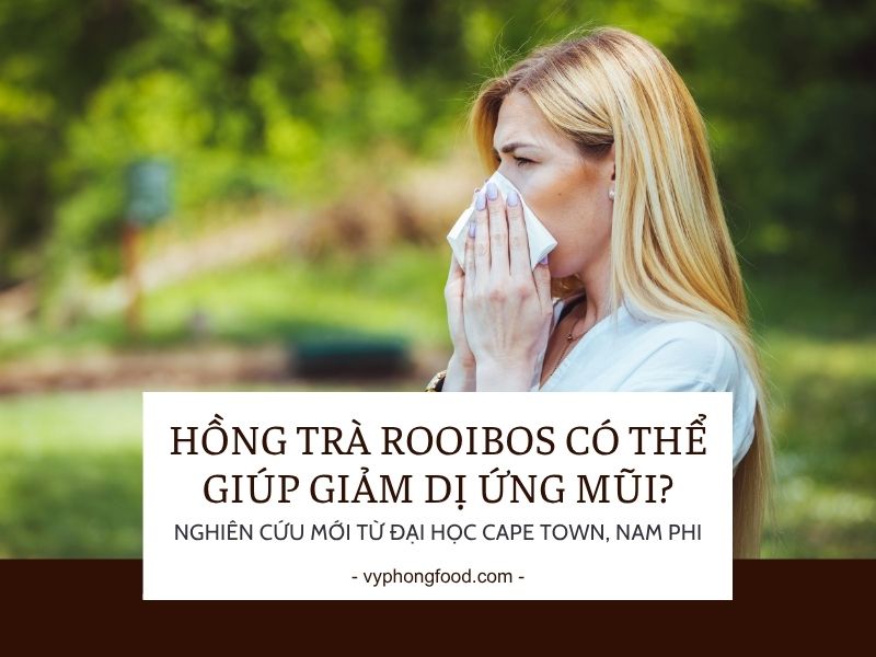 Hồng trà rooibos có thể giúp giảm dị ứng mũi? Nghiên cứu mới từ Đại học Cape Town, Nam Phi.
