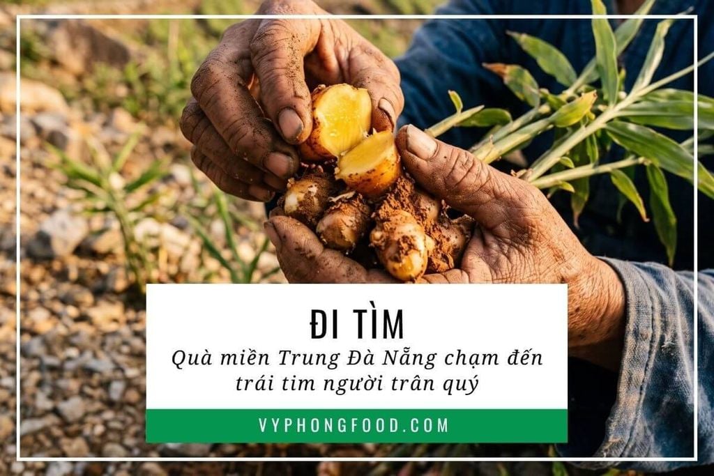 Đi tìm quà miền Trung Đà Nẵng chạm đến trái tim người trân quý