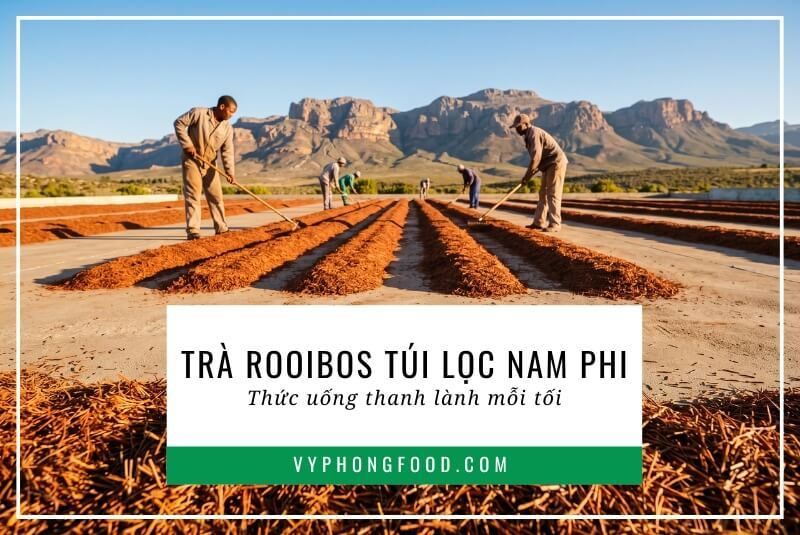 Trà rooibos túi lọc Nam Phi: Thức uống thanh lành mỗi tối