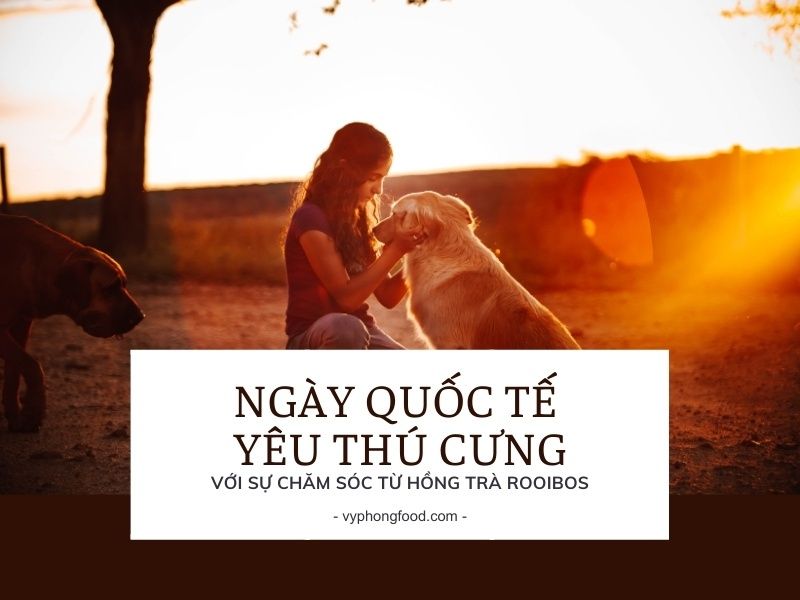 Nuông chiều thú cưng của bạn vào “Ngày Quốc tế Yêu Thú Cưng” (20/2) với sự chăm sóc từ hồng trà rooibos.
