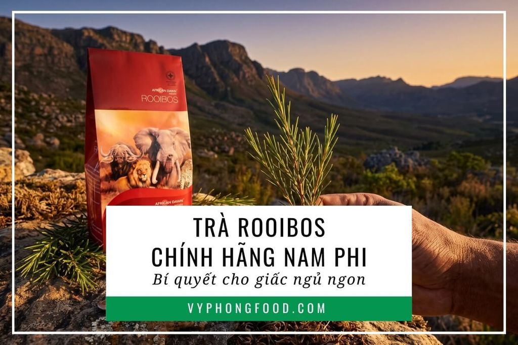 Trà rooibos chính hãng Nam Phi: Bí quyết cho giấc ngủ ngon