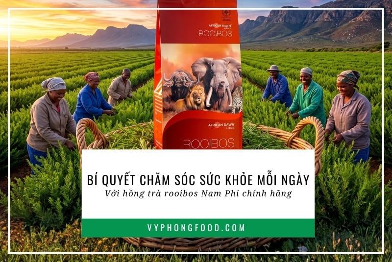 Bí quyết chăm sóc sức khỏe mỗi ngày với hồng trà rooibos Nam Phi chính hãng.