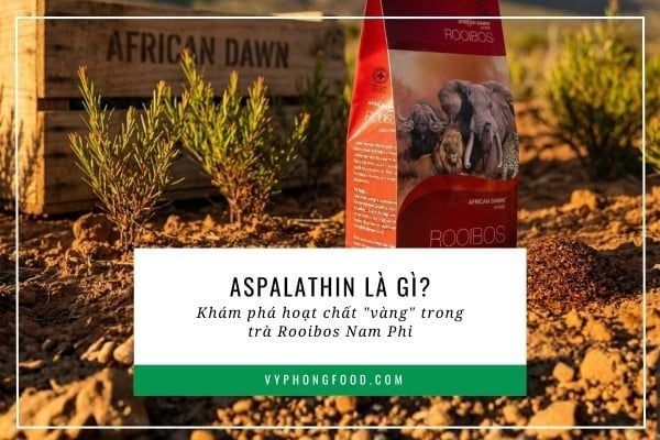 Aspalathin là gì? Khám phá hoạt chất 