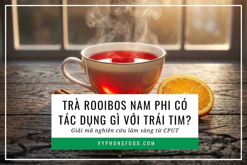 Trà rooibos Nam Phi có tác dụng gì với trái tim? Giải mã nghiên cứu lâm sàng từ CPUT.