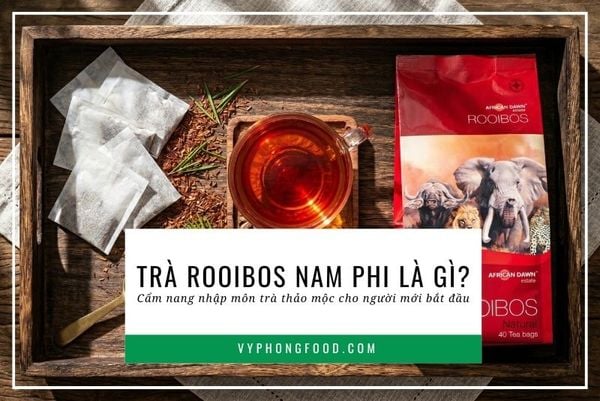 Trà rooibos Nam Phi là gì? Cẩm nang nhập môn trà thảo mộc cho người mới bắt đầu.
