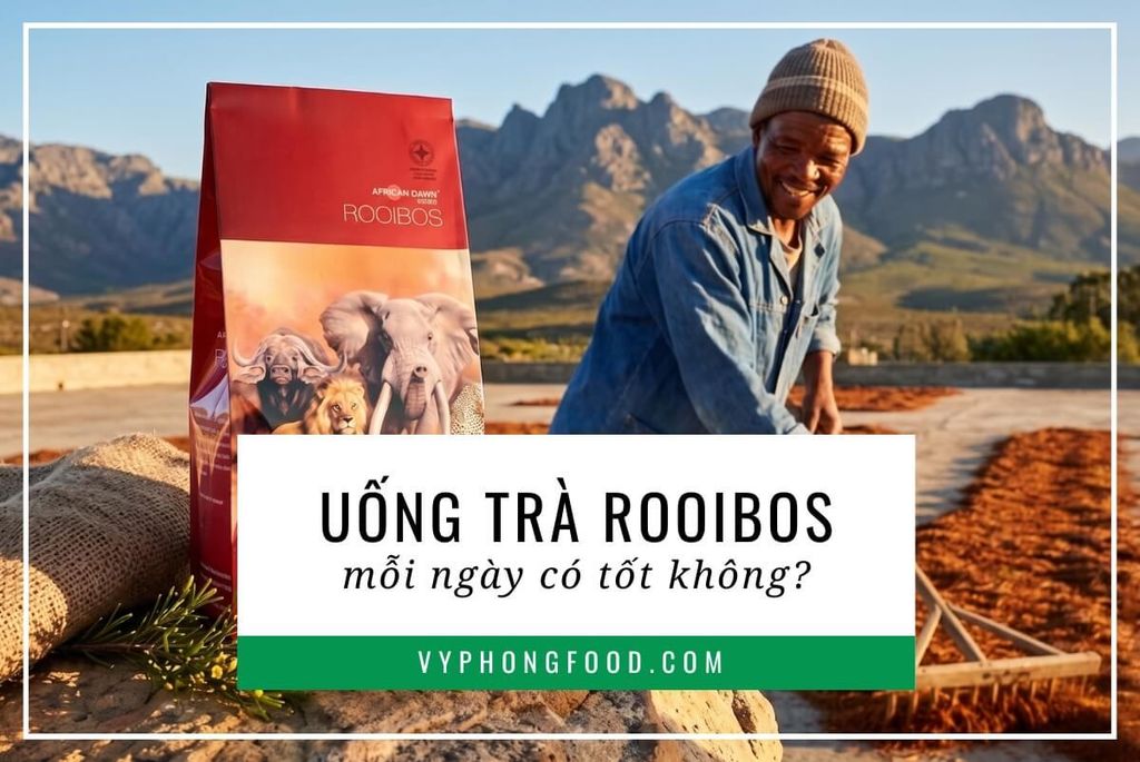 Uống trà rooibos mỗi ngày có tốt không?