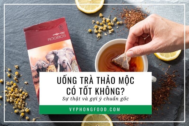 Uống trà thảo mộc có tốt không? Sự thật và gợi ý chuẩn gốc.