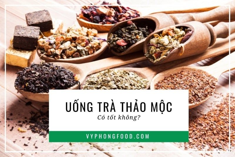 Uống trà thảo mộc có tốt không? Giải đáp từ chuyên gia.