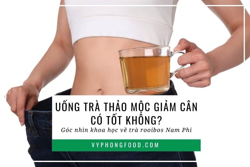 Uống trà thảo mộc giảm cân có tốt không? Góc nhìn khoa học về trà rooibos Nam Phi.
