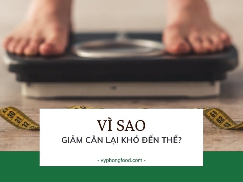 Vì sao giảm cân lại khó đến thế?