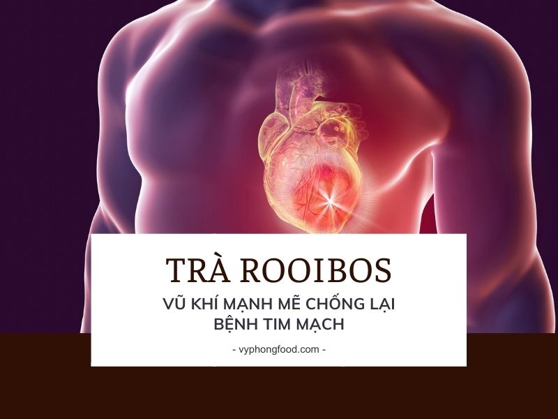Trà Rooibos – Vũ khí mạnh mẽ chống lại bệnh tim mạch.