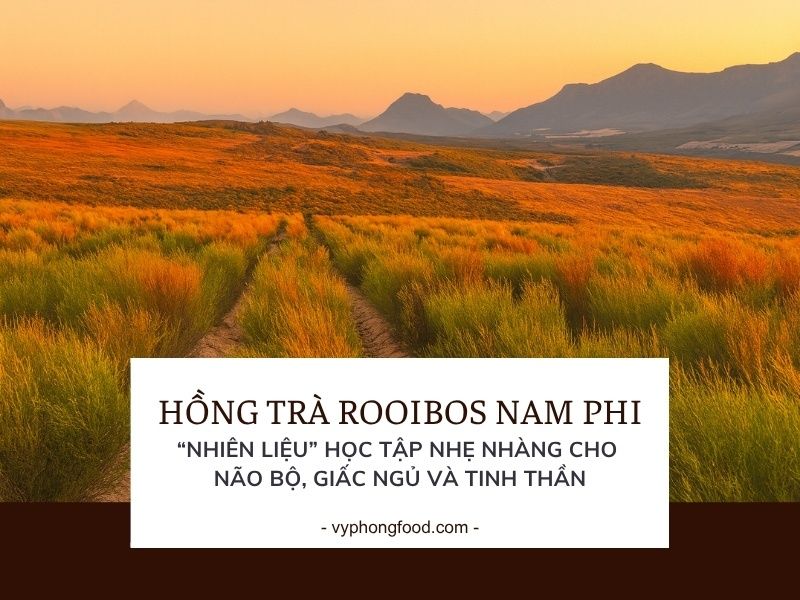 Điều gì tạo nên hương vị “đặc trưng” của hồng trà rooibos?