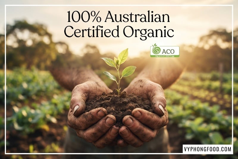 Sản phẩm đường cỏ ngọt Sugarless dạng lon 350g đạt chứng nhận hữu cơ Australian Certified Organic (ACO) Úc được thiết kế trong không gian xanh eco-chic, minh họa trực quan cho câu hỏi cây cỏ ngọt có tác dụng gì đối với sức khỏe; đây là chất tạo ngọt stevia organic thuần chay giúp thanh lọc cơ thể, không chứa calo và bảo vệ hệ tiêu hóa tự nhiên.