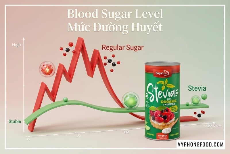 Minh họa y khoa phân tích chi tiết cây cỏ ngọt có tác dụng gì trong kiểm soát đường huyết cho người bệnh tiểu đường và giải pháp từ đường cỏ ngọt stevia Sugarless nguyên chất.
