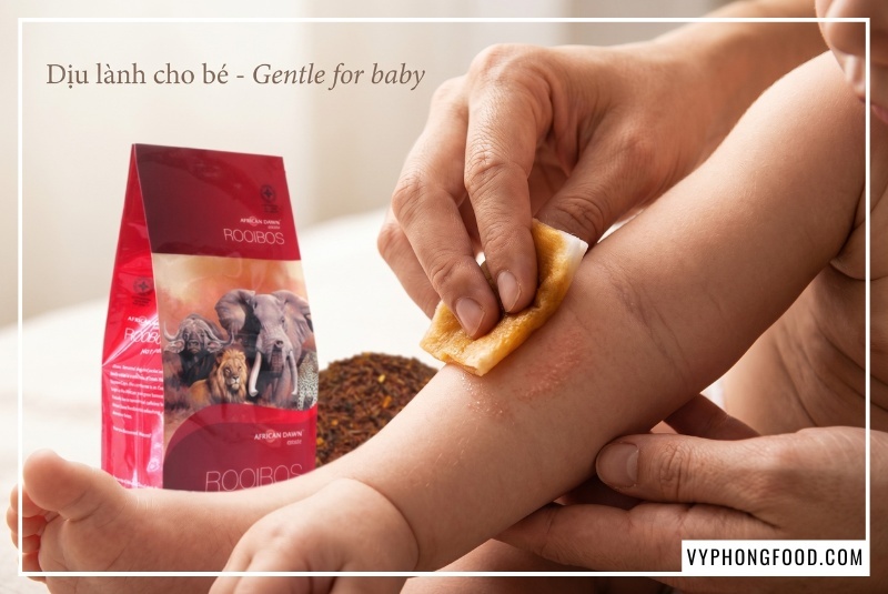 Sơ đồ cơ chế khoa học của trà rooibos Nam Phi giàu hoạt chất kháng viêm Quercetin và Rutin giúp ngăn chặn dưỡng bào giải phóng histamine, hỗ trợ chống dị ứng, làm dịu chàm eczema và hen suyễn tự nhiên.