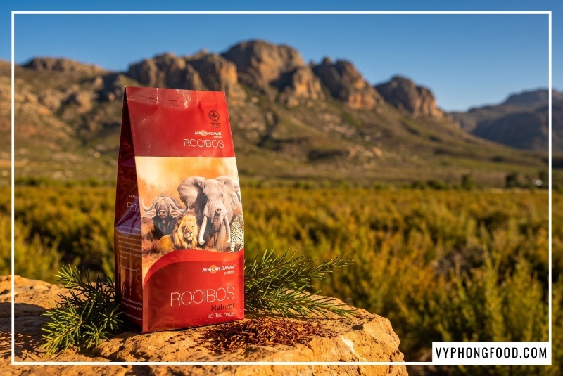 Nhà cung cấp trà rooibos Nam Phi African Dawn chính ngạch giới thiệu gói trà túi lọc trên gờ đá thiên nhiên Cederberg