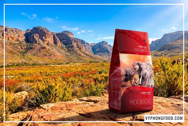 Gói sản phẩm hồng trà nam phi hữu cơ sỉ nhãn hiệu African Dawn estate Rooibos 40 túi lọc đặt nổi bật trên nền thiên nhiên dãy núi Cederberg, Nam Phi rực nắng.